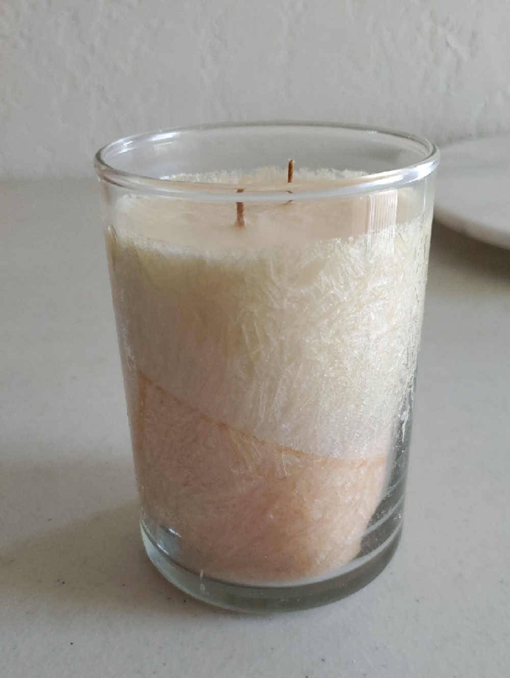 Orange Vanilla two tone textured Palm Candle 2 wicks Home Interiors New retired